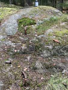 IMG 6851 IMG 6851