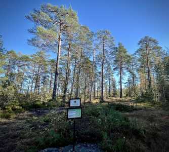 IMG 7191 IMG 7191