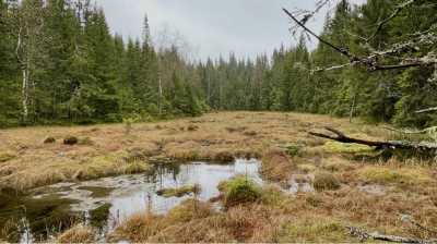 IMG 7224 IMG 7224