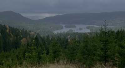 IMG 7226 IMG 7226